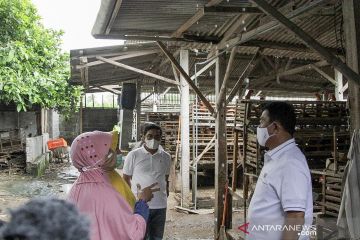 KSP dengarkan keluhan peternak ayam soal anjloknya harga telur