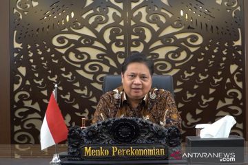 Airlangga sebut Indonesia bertekad jadi penentu harga CPO global