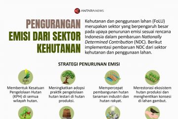 Pengurangan emisi dari sektor kehutanan