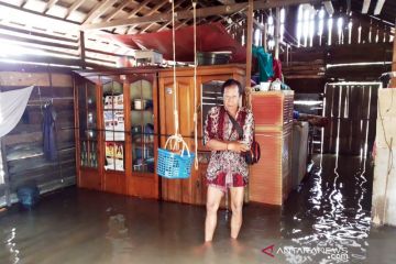 Banjir di Kotim meluas rendam 22 desa