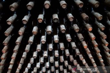 Industri minuman anggur di Spanyol