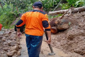 Jalan menuju Objek Wisata Kedung Pedut di Kulon Progo tertutup longsor