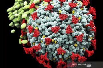 Negara-negara Asia, Eropa waspadai varian baru virus corona