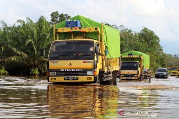 Enam kabupaten di Kalbar terendam banjir