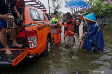 Proses evakuasi sejumlah warga yang terjebak banjir rob di Pekalongan