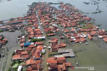 Banjir Rob Pekalongan Belum Surut