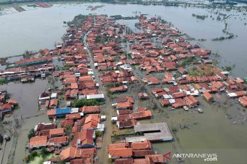 Banjir rob di Pekalongan belum surut