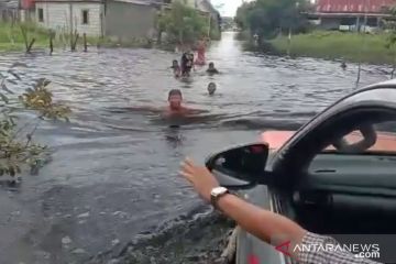 90 hektare lahan pertanian di Palangka Raya terdampak banjir