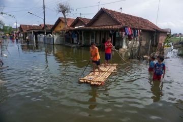 Banjir rob