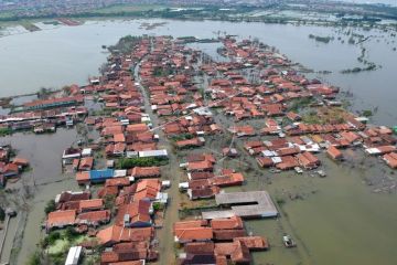 Banjir rob