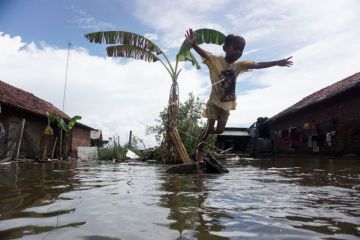 Banjir rob