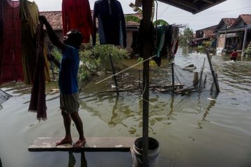 Banjir rob