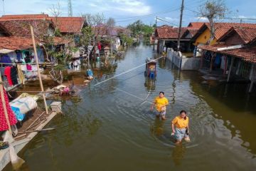 Banjir rob