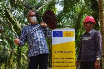 Dubes Uni Eropa kunjungi petani sawit rakyat di Riau