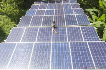 Pemanfaatan PLTS Untuk Lahan Persawahan