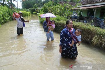 Banjir rendam tiga kecamatan di Jember
