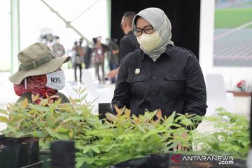 Ade Yasin harap Persemaian Rumpin bantu penuhi kebutuhan RTH Bogor