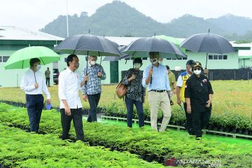 Presiden ajak dubes negara sahabat tinjau Persemaian Modern Rumpin