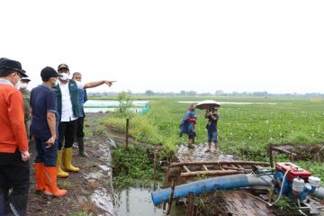 Sidoarjo percepat pembangunan enam kisdam tangani banjir