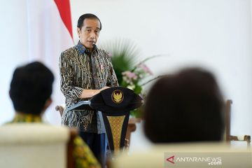 Presiden minta Pertamina dan PLN lapor jika butuhkan dukungan politis