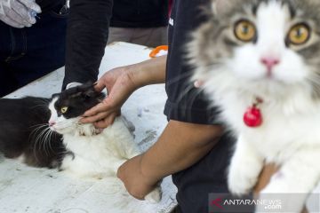 Layanan vaksin rabies gratis di Karawang