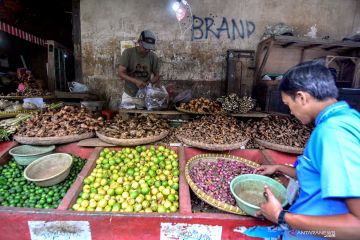 Mengembalikan kejayaan rempah di Indonesia