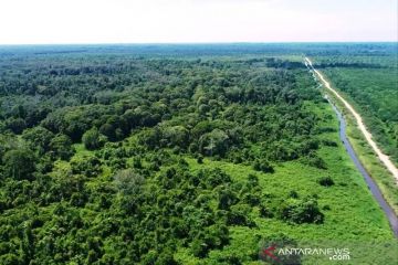 Kementerian LHK cabut izin pelepasan kawasan hutan, bukan cabut HGU