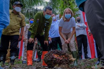 Duta Besar Norwegia kunjungi petani sawit Musi Banyuasin Sumsel