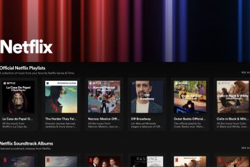 Spotify buat hub khusus untuk Netflix