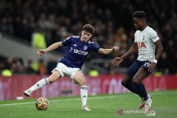 Conte tak sabar mainkan Ryan Sessegnon di Liga Conference