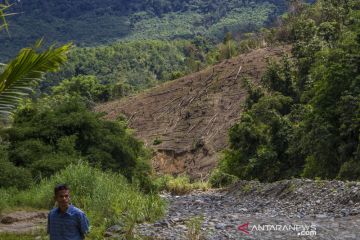 Alih fungsi hutan Kalimantan Selatan