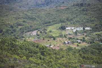 HGU perkebunan punya kewenangan konstitusional