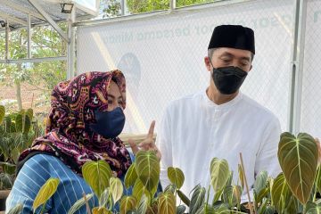 Pemkot Bogor dukung Minaqu luncurkan "green house" tanaman hias