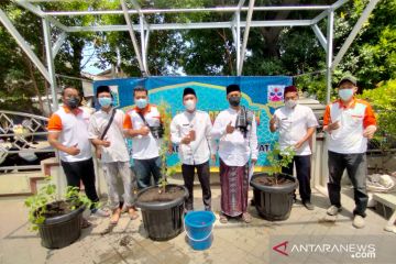 Kebun anggur di Masjid Al Ihrom diharapkan bisa edukasi warga