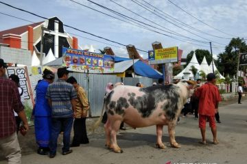 Bupati Tana Toraja terbitkan surat edaran menjelang Natal