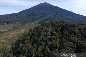 Perambahan Hutan Di Kaki Gunung Kerinci
