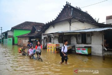 Tanggul Sungai Dawe Kudus jebol, ratusan rumah warga terendam