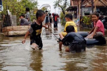 Banjir rendam 516 rumah di Pekalongan