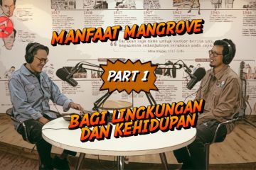 Manfaat mangrove bagi lingkungan dan kehidupan (part 1)