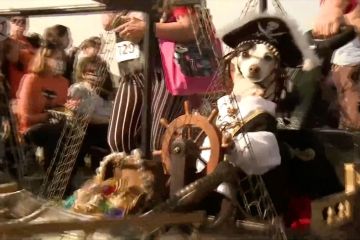 Parade anjing semarakkan perayaan Halloween di California