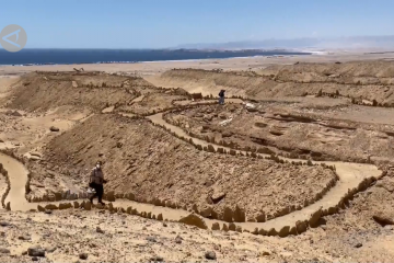 Menilik Gurun Atacama, laboratorium paleontologi di Chile