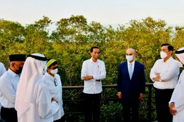 Presiden Jokowi tinjau Jubail Mangrove Park di Abu Dhabi