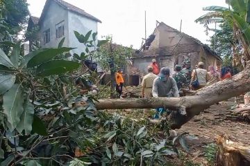 Rumah di Madiun roboh tertimpa pohon