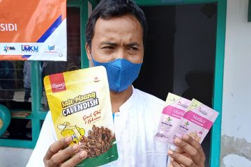Desa Cintamulya Lampung Selatan buat masker dari Bengkuang