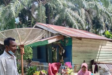 Mukomuko bantu korban tertimpa pohon tumbang