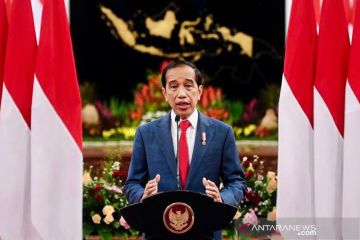 Jokowi: Indonesia perjuangkan aspirasi negara-negara berkembang di G20