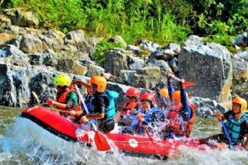 "Geo Fun Rafting" Merangin melintasi fosil flora berumur ratusan tahun