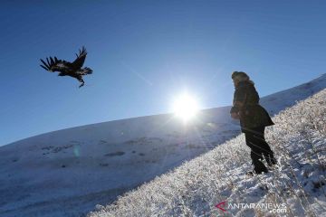 Kontes tradisional burung elang emas pemburu digelar di Kazakhstan