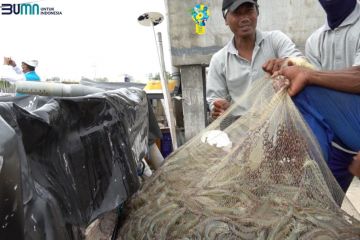 PLN gencarkan program "electrifying marine" di Gresik