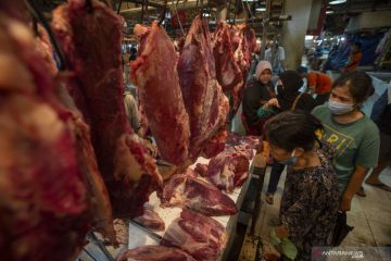 Berdikari dukung stabilisasi harga daging jelang Natal dan Tahun Baru